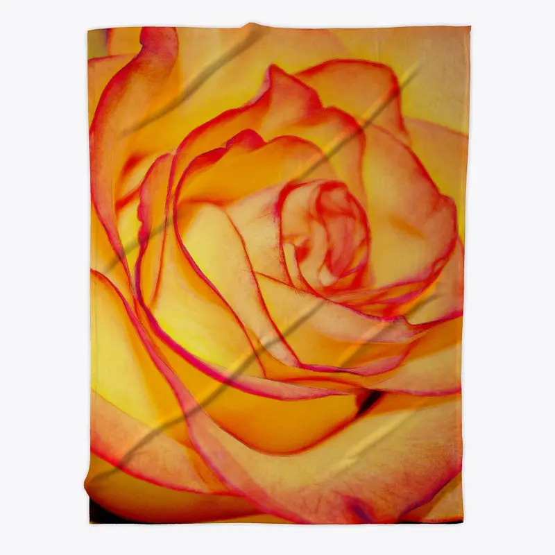 Bright Orange Rose