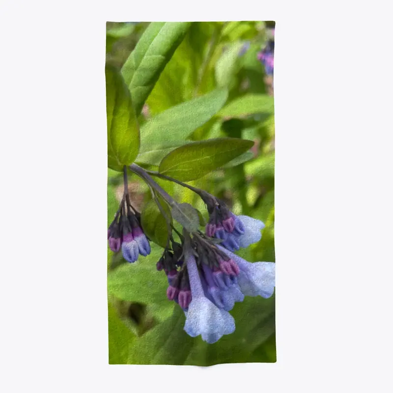 Blue and Purple Wildflowers