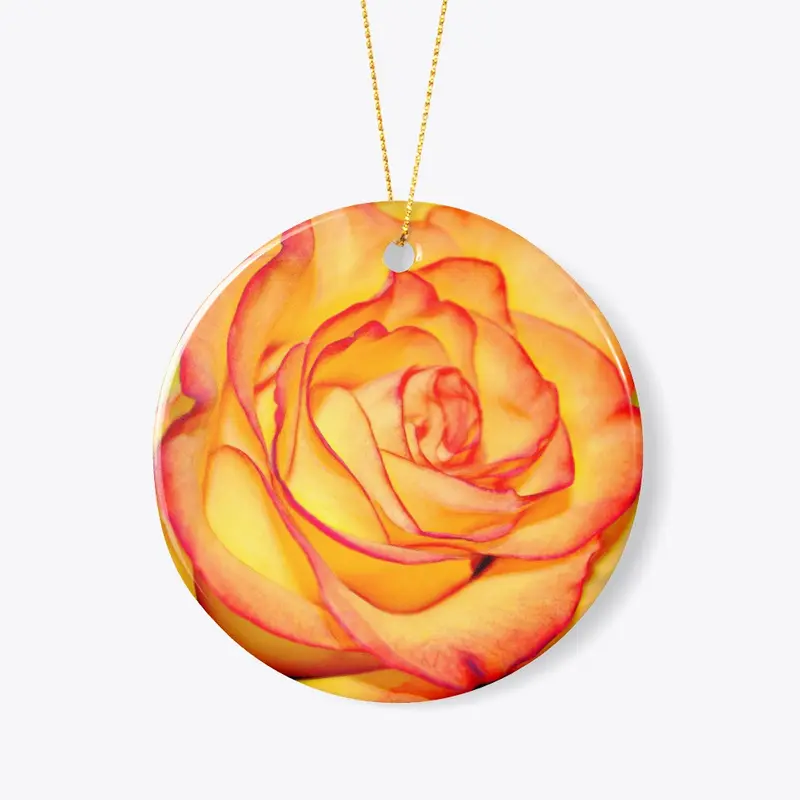 Bright Orange Rose