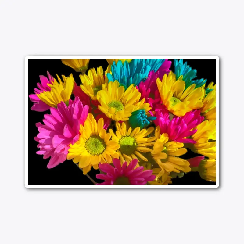 Bright Daisy Bouquet