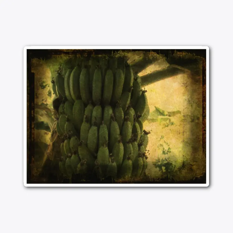 Bananas on Texture