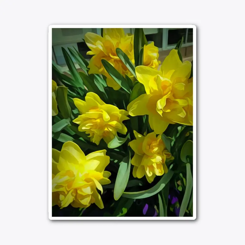 Bright Yellow Daffodils