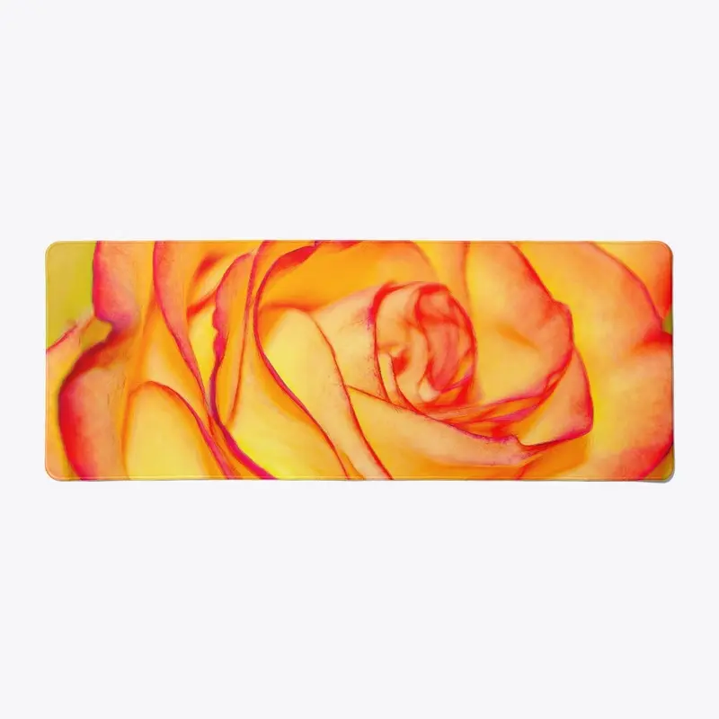 Bright Orange Rose