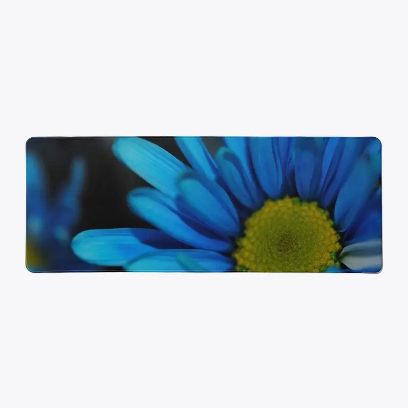 Blue Daisy