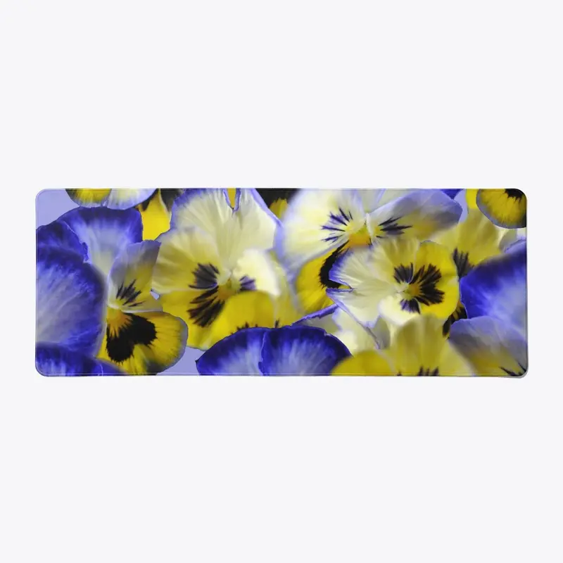 Blue and Yellow Pansies