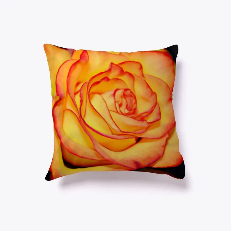 Bright Orange Rose