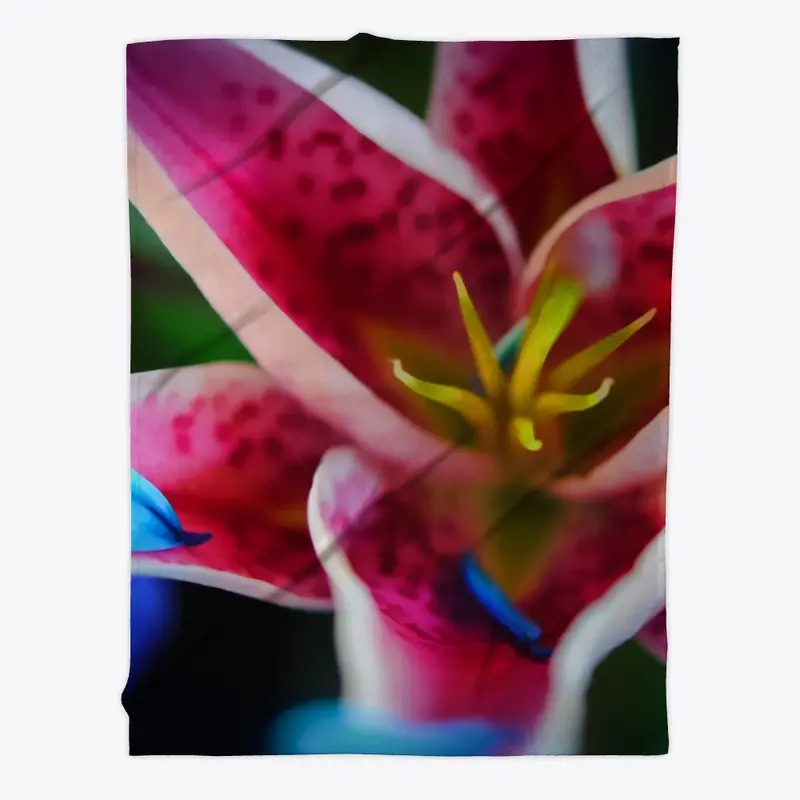 Blue Petals on a Pink and White Lily