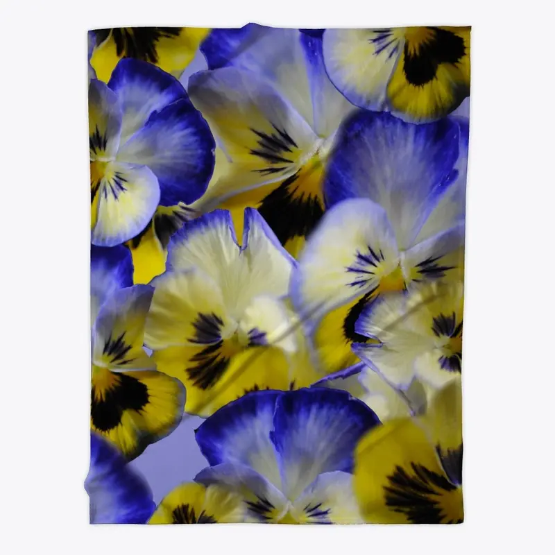 Blue and Yellow Pansies