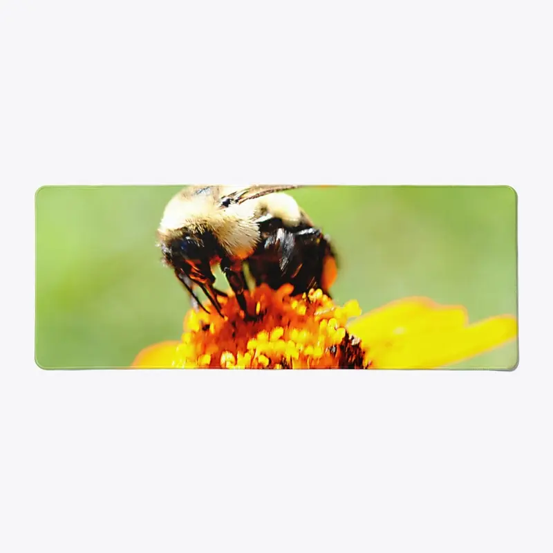 Bee On a Flower