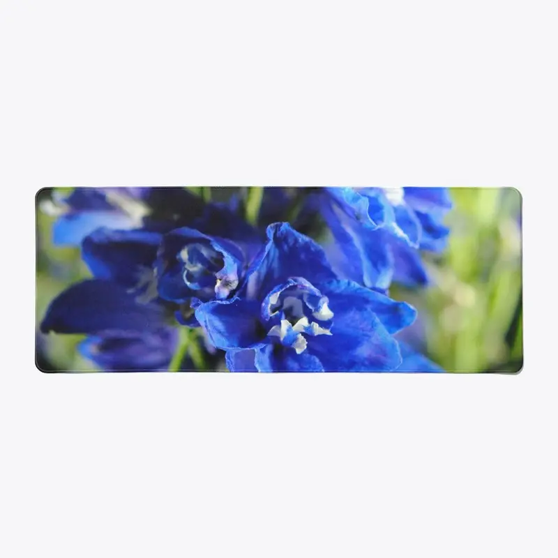 Blue Delphinium