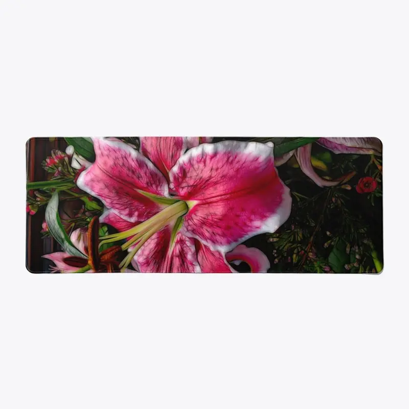 Big Petaled Pink and White Lily