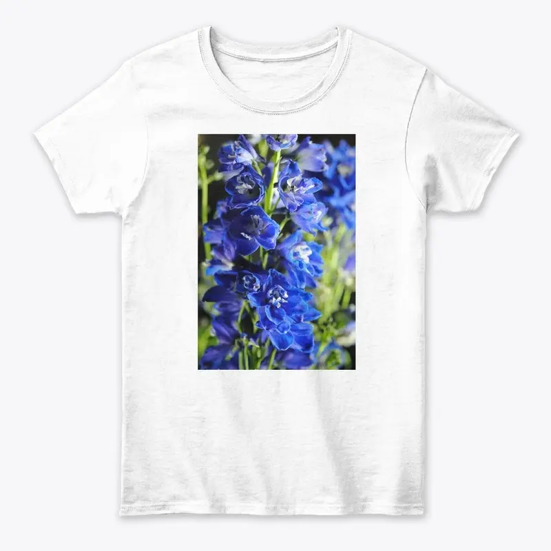 Blue Delphinium